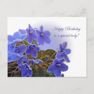 Birthday Blue African Violets Postkarte