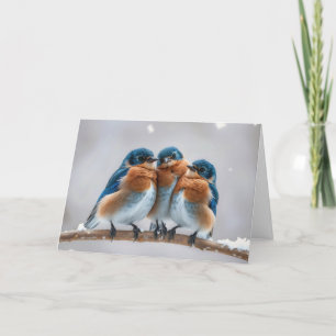 Birthday Bluebirds auf einem Winter Branchen Karte