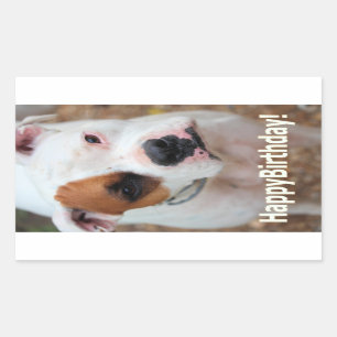 Birthday Boop Rechteckiger Aufkleber