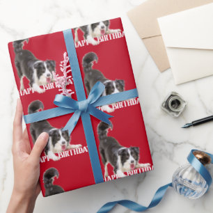 Birthday Border Collie auf Red Geschenkpapier