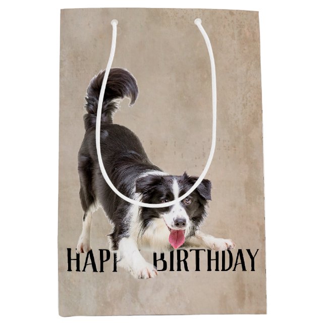 Birthday Border Collie Mittlere Geschenktüte (Vorderseite)