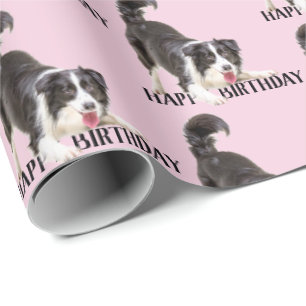 Birthday Border Collie on Pink Geschenkpapier