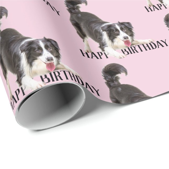 Birthday Border Collie on Pink Geschenkpapier (Rolleneckpunkt)