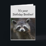 Birthday BROTHER Fuge Age Spaß Sad Raccoon Spaß Karte<br><div class="desc">Birthday Blahs für Ihr BROTHER Fun Age Sie sind Müll zu mir Humorvolle Raccoon Animal Art</div>
