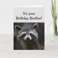 Birthday BROTHER Fuge Age Spaß Sad Raccoon Spaß