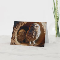 Birthday Burrowing Owls In einer Höhle