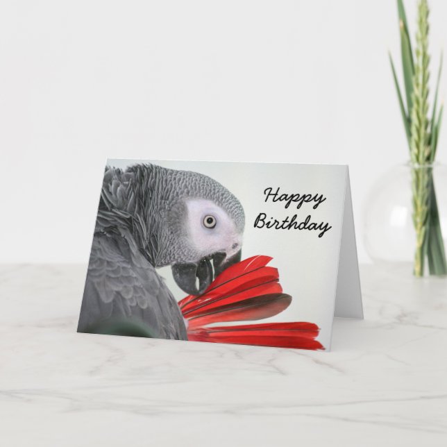 Birthday card Congo African Grey Gray Parrot Karte (Vorderseite)