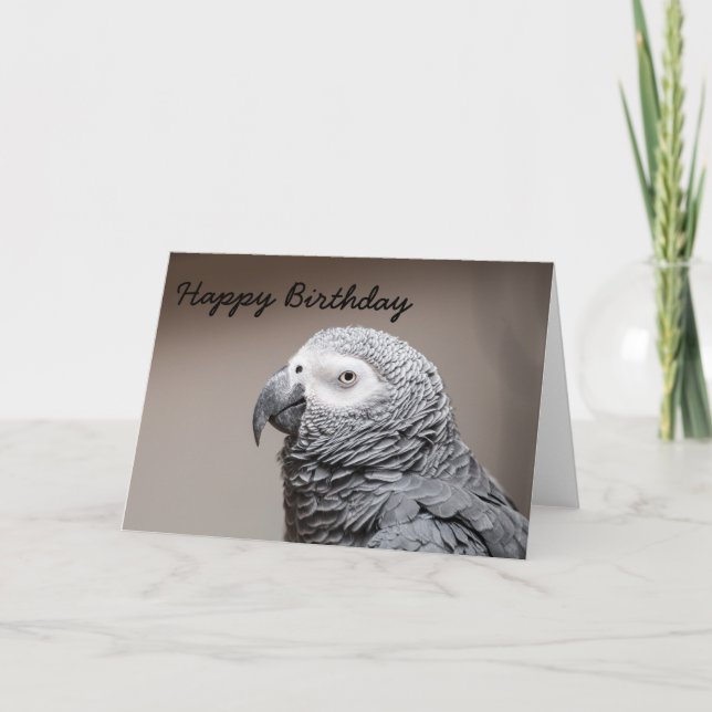 Birthday card Congo African Grey Gray Parrot Karte (Vorderseite)