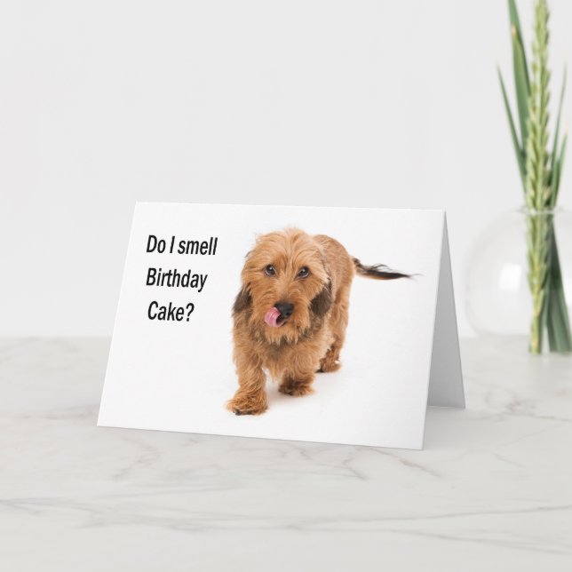 birthday card Dachshund dog smelling birthday cake Karte (Vorderseite)