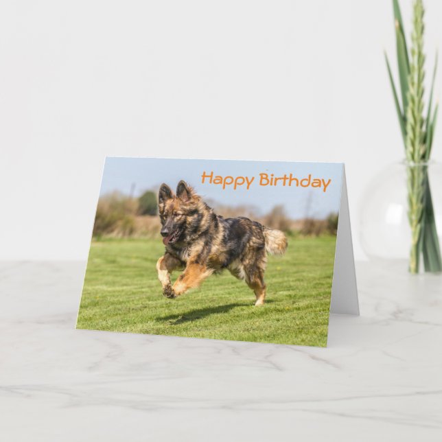 Birthday Card Deutscher Schäferhund Karte (Vorderseite)