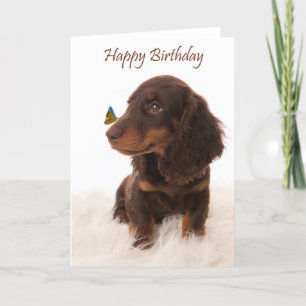 Birthday card dog with butterfly on nose karte