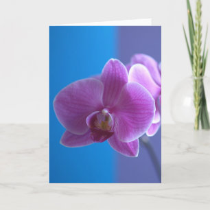 Birthday Card for Daughter -- Orchid Karte