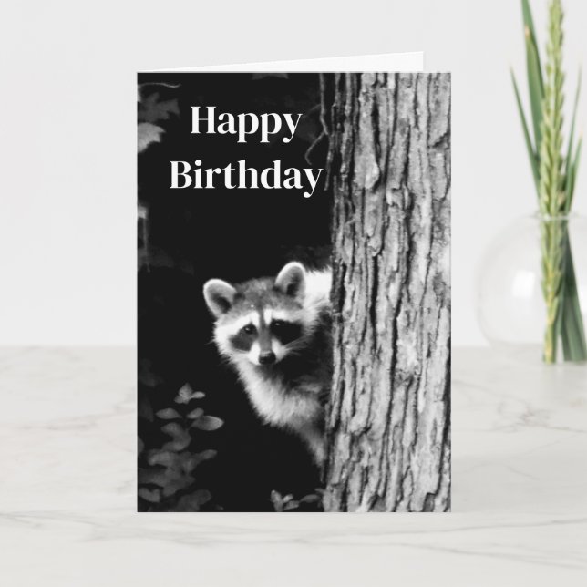 Birthday Card Foto Black/White Raccoon Karte (Vorderseite)