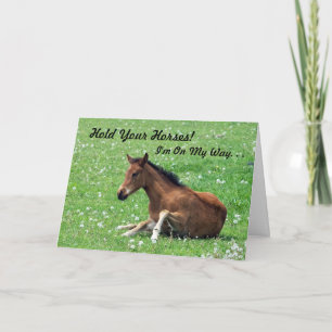 Birthday Card für das junge Pferd Karte