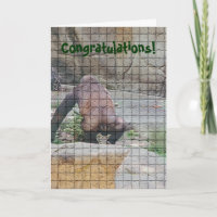 Birthday Card humorvoll ,"Bad Manered Ape"