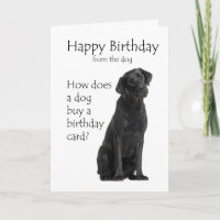 Birthday Card