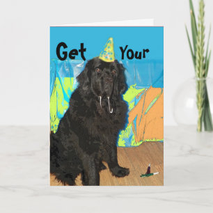 Birthday Card ~ Newfoundland Dog Karte