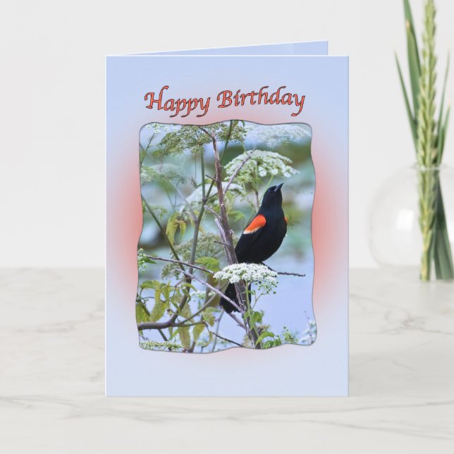 Birthday Card Rot-Flügel Karte (Vorderseite)