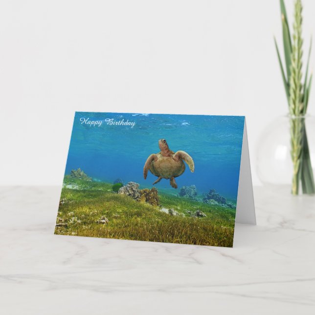 Birthday Card Sea Turtle Karte (Vorderseite)