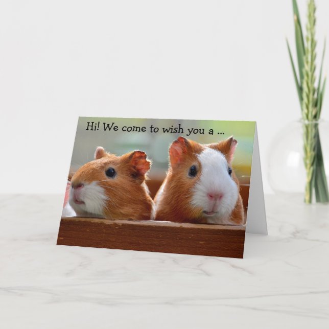 Birthday Card: Two Guinea Pigs Karte (Vorderseite)