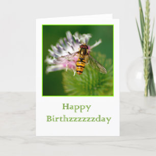 Birthday card with wasp on a thistle flower karte