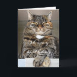 Birthday Cat Funny Tabby Grumpy Green Eyes Squint Karte<br><div class="desc">Diese lustige Geburtstagskarte zeigt vorne ein großes, graues Tabby mit gezinkten grünen Augen. Sein Name ist Biggie. Wir wüssten gerne, warum er so aus dem Häuschen ist. Vor Biggie's Foto stehen die Worte "Es ist mein Geburtstag" Inside, die Nachricht geht weiter: "Wenn ich sage, es ist mein Geburtstag." Hier können...</div>