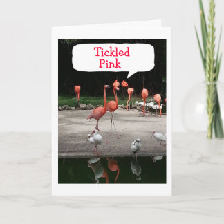 BIRTHDAY COMPLIMENT FLAMINGOS SIND "TICKLED PINK" KARTE