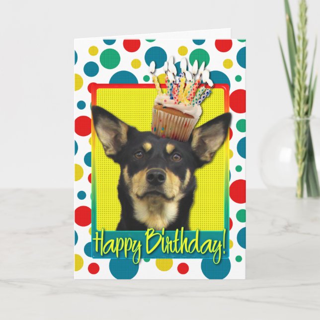 Birthday Cupcake - Australian Kelpie - Jude Karte (Vorderseite)