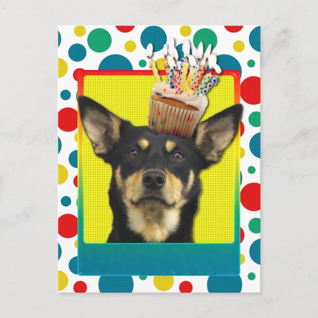 Birthday Cupcake - Australian Kelpie - Jude Postkarte (Vorderseite)