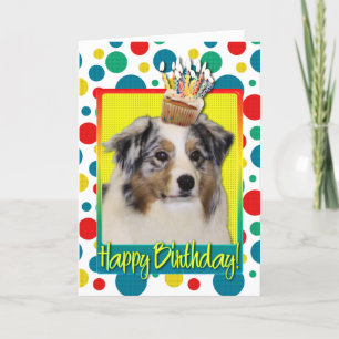 Birthday Cupcake - Australian Shepherd Karte