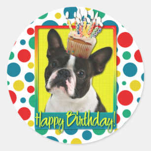 Birthday Cupcake - Boston Terrier Runder Aufkleber