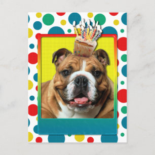Birthday Cupcake - Bulldog - Dunkel Postkarte