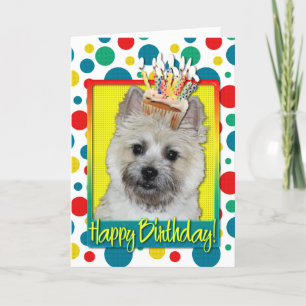 Birthday Cupcake - Cairn Terrier - Teddy Bear Karte