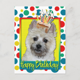 Birthday Cupcake - Cairn Terrier - Teddy Bear Postkarte