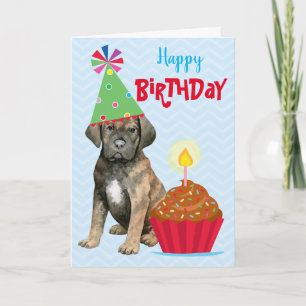 Birthday Cupcake Cane Corso Card Karte