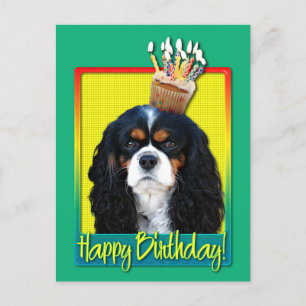 Birthday Cupcake - Cavalier - Tri-Color Postkarte