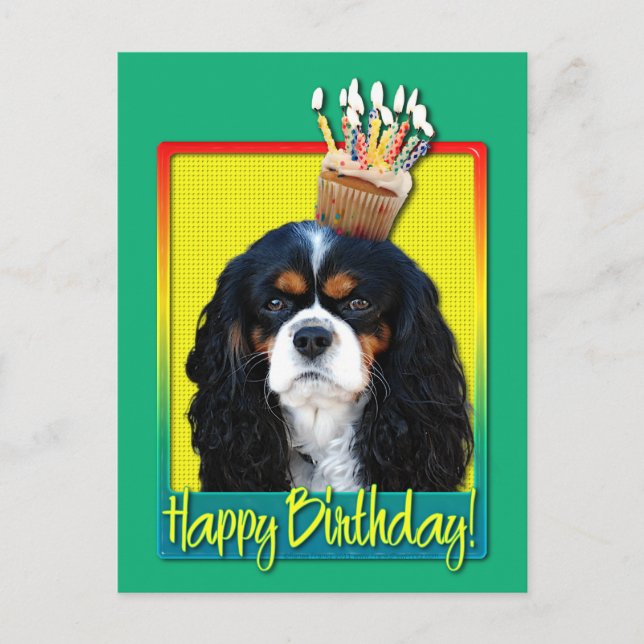 Birthday Cupcake - Cavalier - Tri-Color Postkarte (Vorderseite)