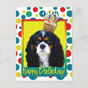 Birthday Cupcake - Cavalier - Tri-Color Postkarte