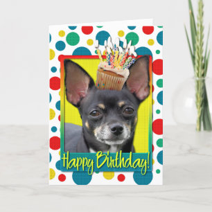 Birthday Cupcake - Chihuahua - Isabella Karte