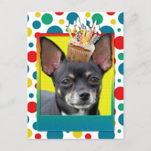 Birthday Cupcake - Chihuahua - Isabella Postkarte