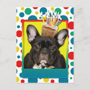 Birthday Cupcake - French Bulldog - Aquamarin Postkarte