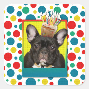 Birthday Cupcake - French Bulldog - Aquamarin Quadratischer Aufkleber