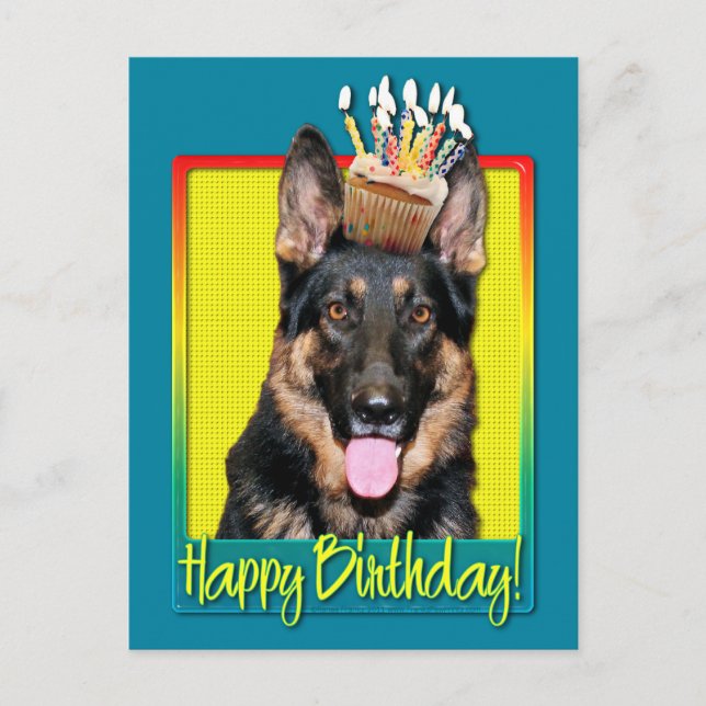 Birthday Cupcake - German Shepherd - Kuno Postkarte (Vorderseite)