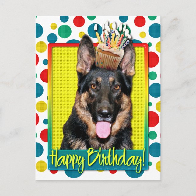 Birthday Cupcake - German Shepherd - Kuno Postkarte (Vorderseite)