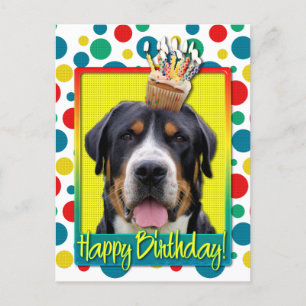 Birthday Cupcake - Greater Swiss Mountain Hund Postkarte