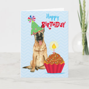 Birthday Cupcake Malinois Karte