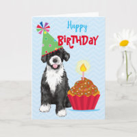 Birthday Cupcake Portugiesische Wasserdockkarte
