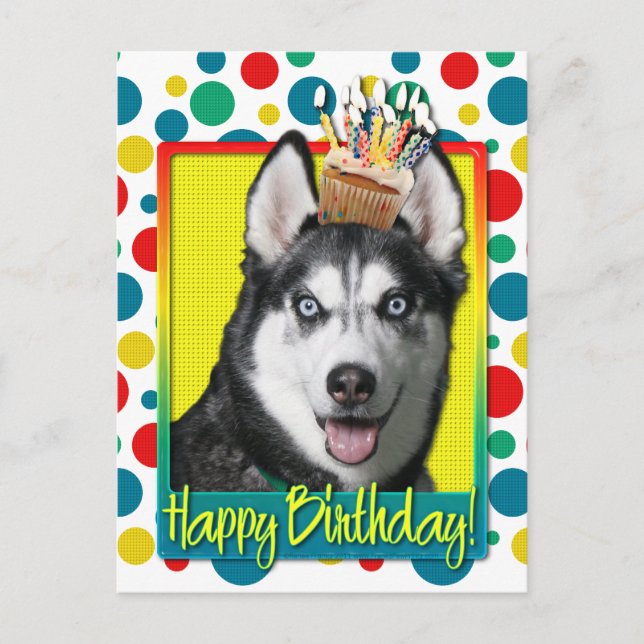 Birthday Cupcake - Sibirier Husky Postkarte (Vorderseite)