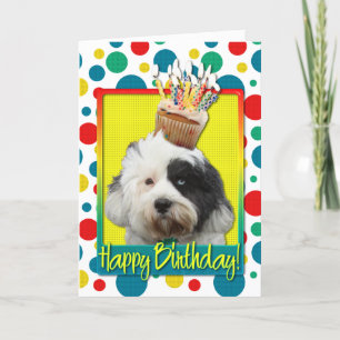 Birthday Cupcake - Tibetan Terrier Karte