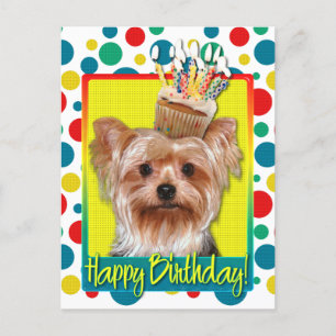 Birthday Cupcake - Yorkshire Terrier Postkarte
